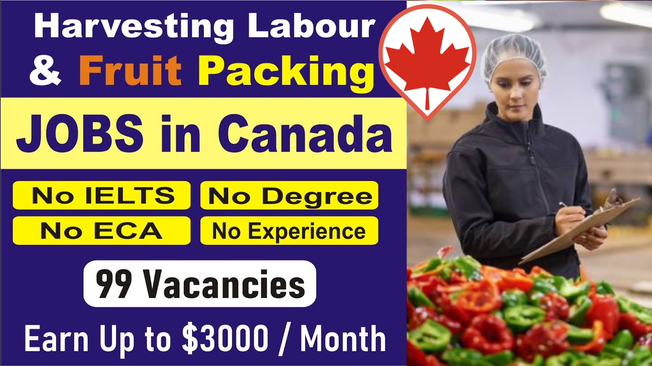 Harvesting and Food Packaging Jobs in Canada PR Visa 2024