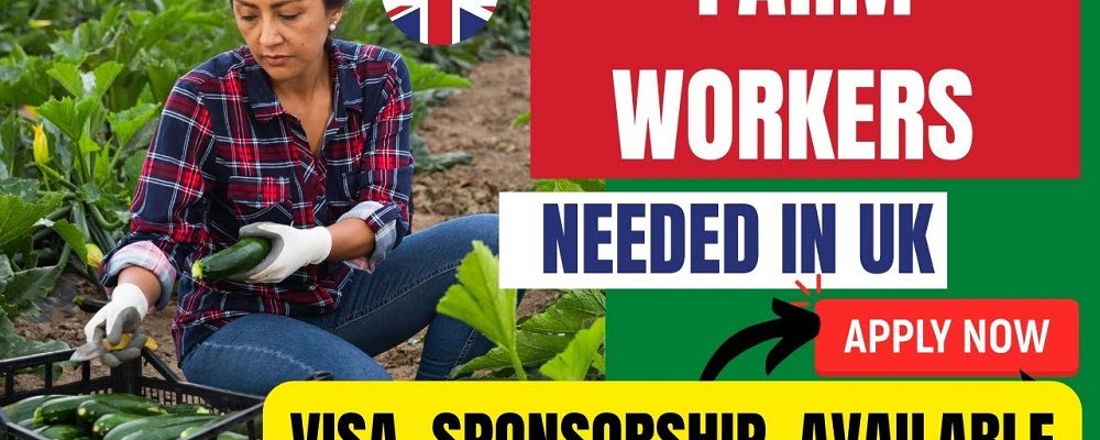 Farm Worker Jobs in UK with Free Visa Sponsorship 2024