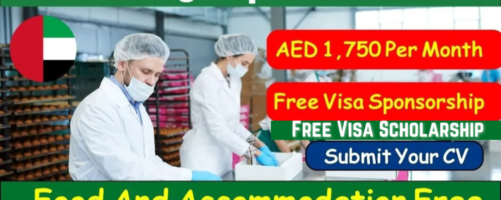 Food Packaging Helper Jobs in Dubai Free Visa Sponsorship 2024