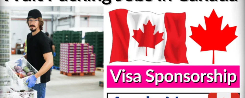 Fruit Packaging Jobs in Canada Free Visa Sponsorship 2024