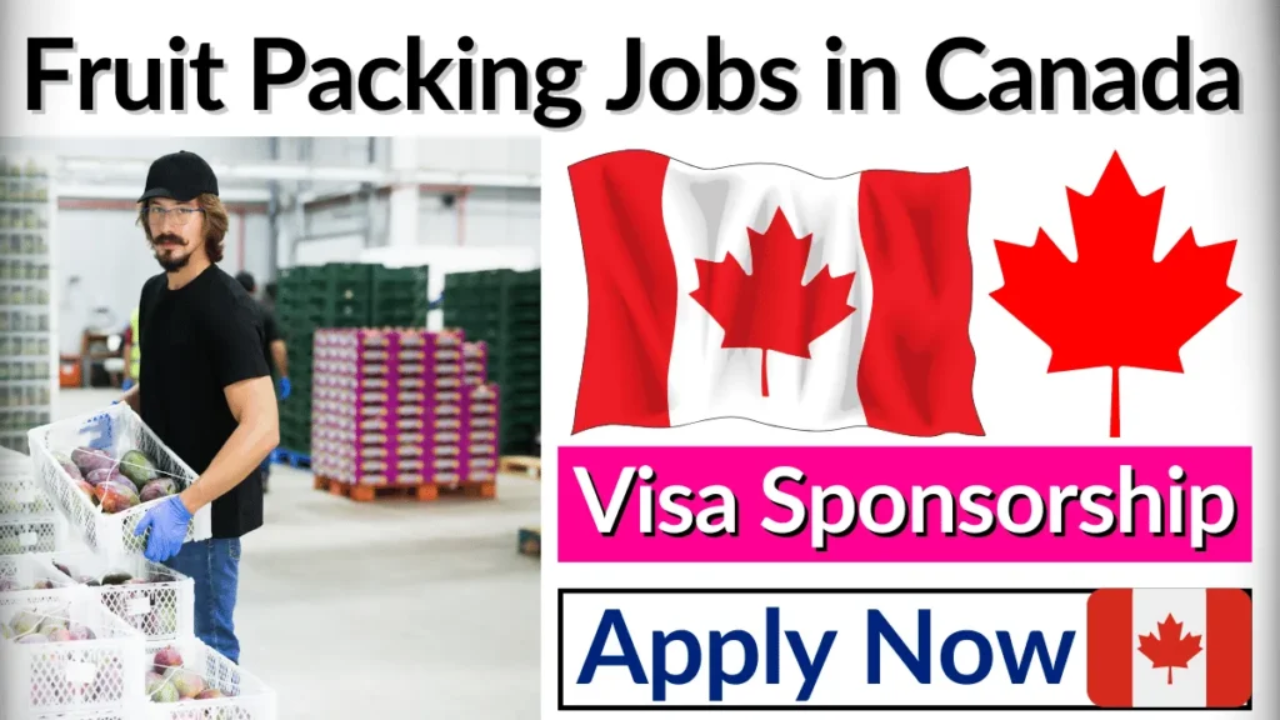 fruit packaging jobs in canada free visa 2024 apply online