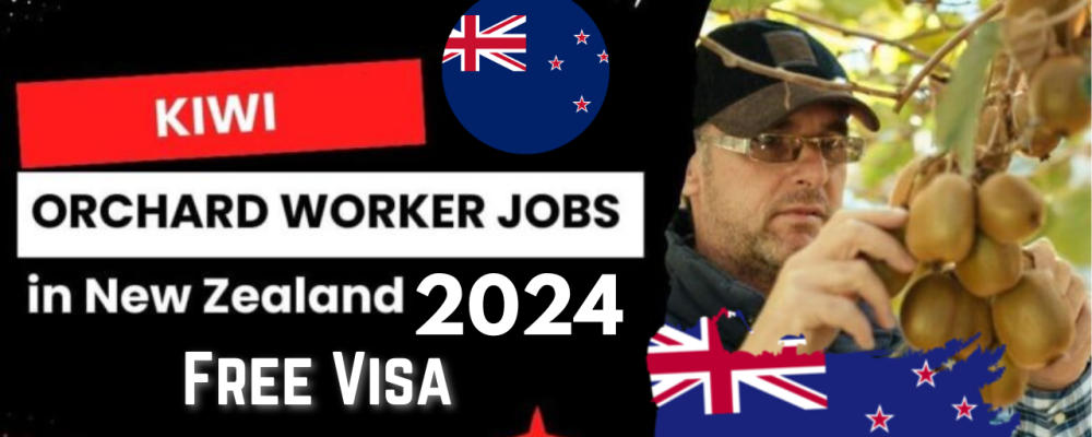 Kiwi Orchard Workers Jobs in New Zealand Free Visa Sponsorship 2024