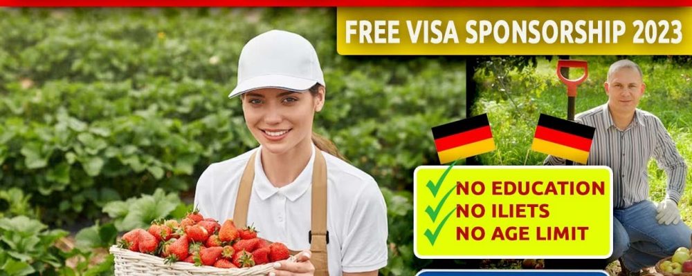 Fruit Picking Jobs in Germany with Free Visa Sponsorship 2024