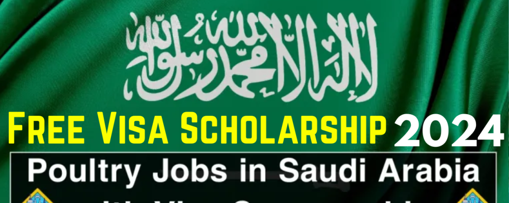 School Cleaner in Saudi Arabia With Visa Scholarship 2024