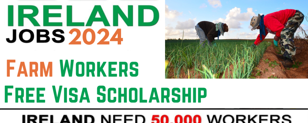 Farm Workers Jobs in Ireland With Visa Scholarship 2024