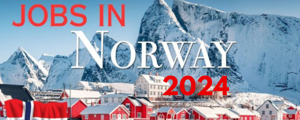 Financial Analysts Workers Jobs in Norway With Free Visa Scholarship 2024