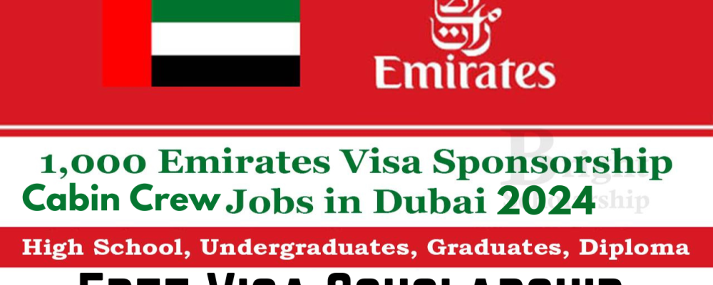 Cabin Crew Job in UAE With Visa Scholarship 2024