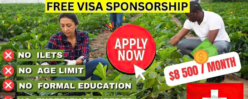 Unskilled Workers Jobs in Switzerland With Visa Scholarship 2024